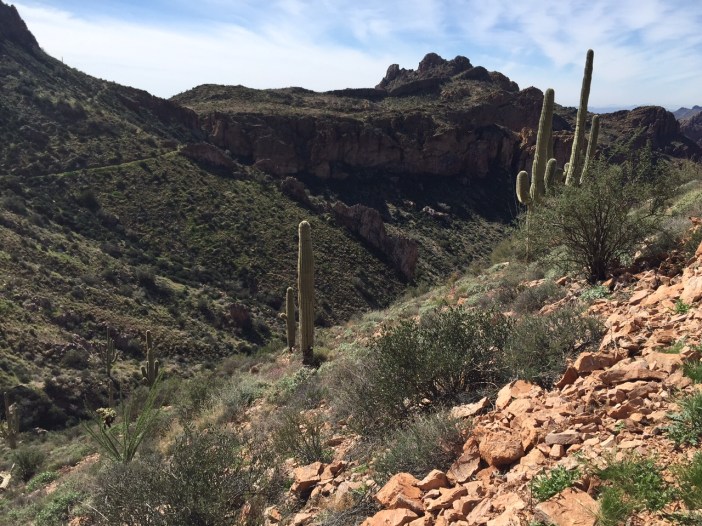 2015-02-18 Picket Post 4