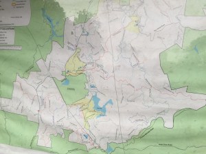 Dupont Forest Map
